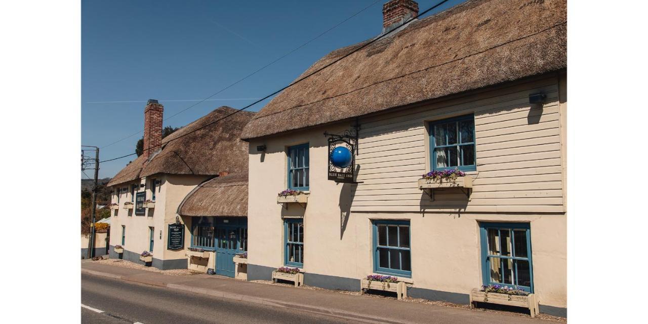 The Blue Ball Inn Сидмаут Экстерьер фото